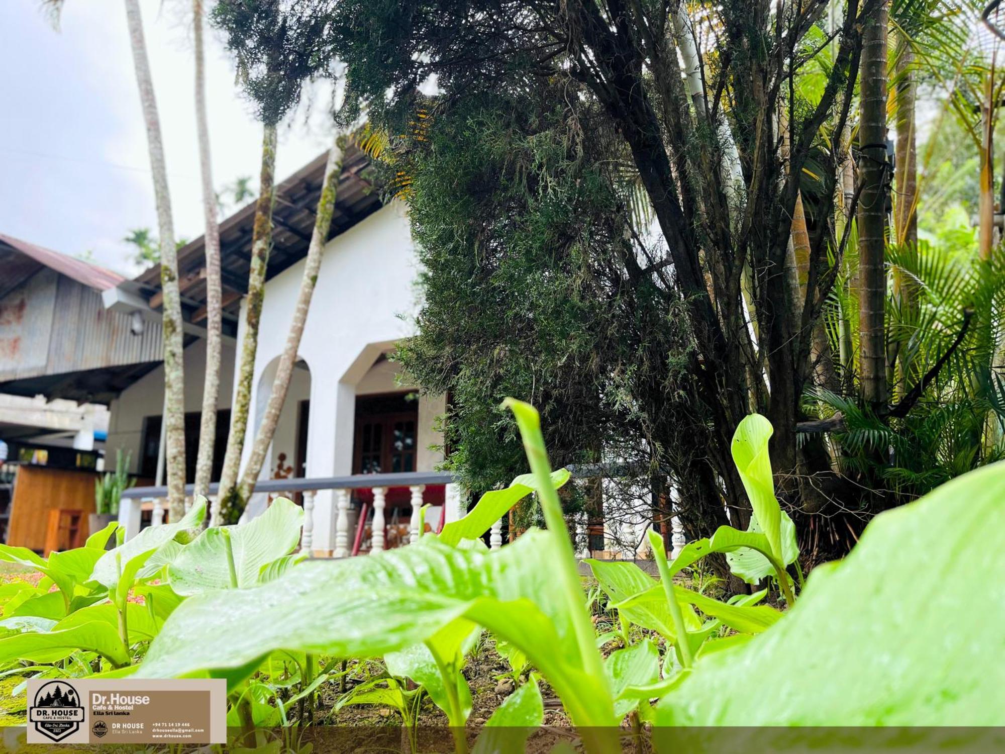 Dr House Ella - Hostel & Cafe Exterior photo